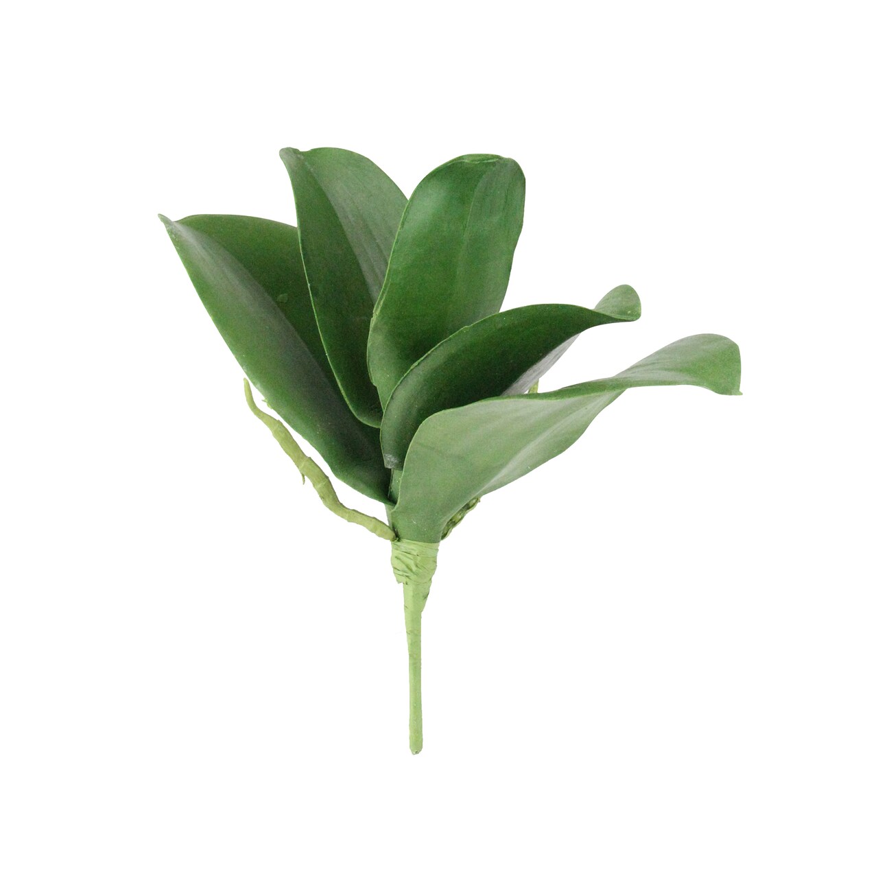 Select Artificials 9.5" Green Moss and Olive Small Orchid Artificial Five Leaf Plant